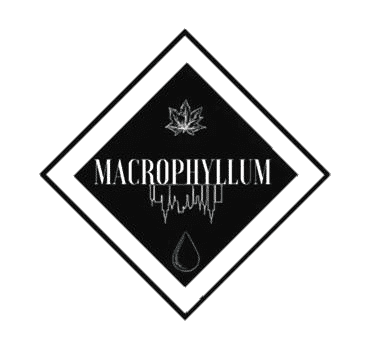 MACROPHYLLUM