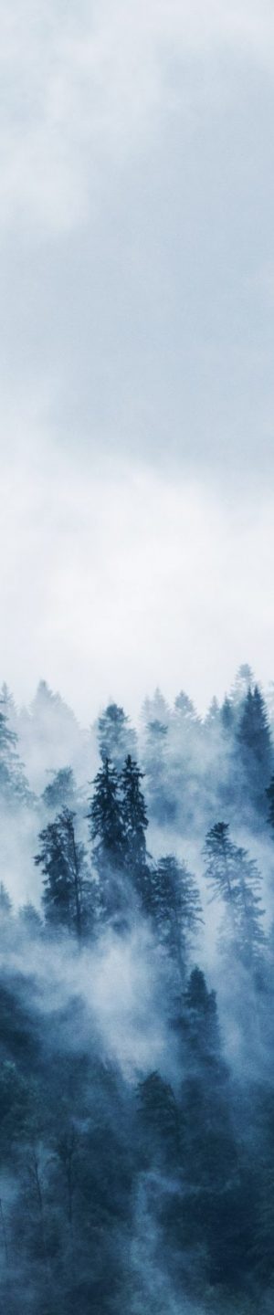 pexels-lumn-167699